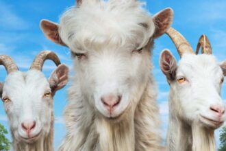 Goat Simulator 3 wkrótce na PS4 i Xbox One – szalone przygody kozich